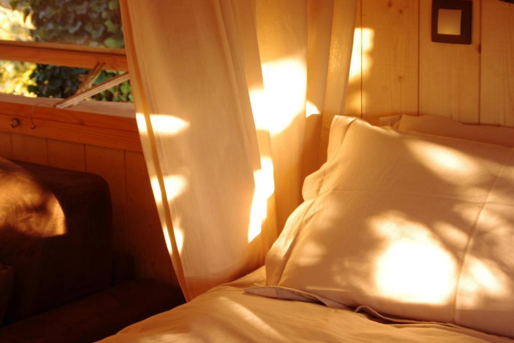 Domaine Des Grands Cedres Bed & Breakfast Cordelle Phòng bức ảnh