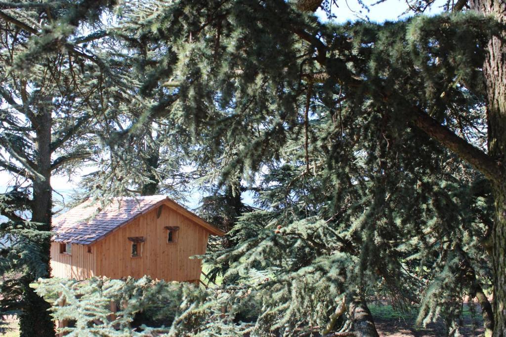 Domaine Des Grands Cedres Bed & Breakfast Cordelle Phòng bức ảnh